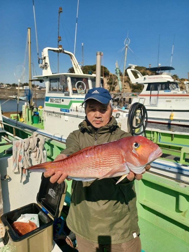 アマダイ(アカアマダイ)