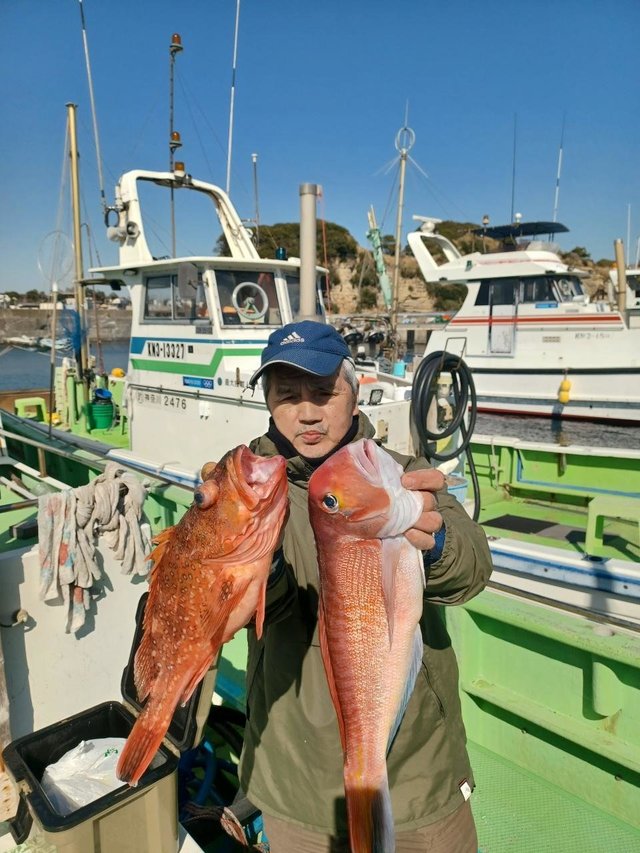 アマダイ(アカアマダイ)・カンコ(ウッカリカサゴ)