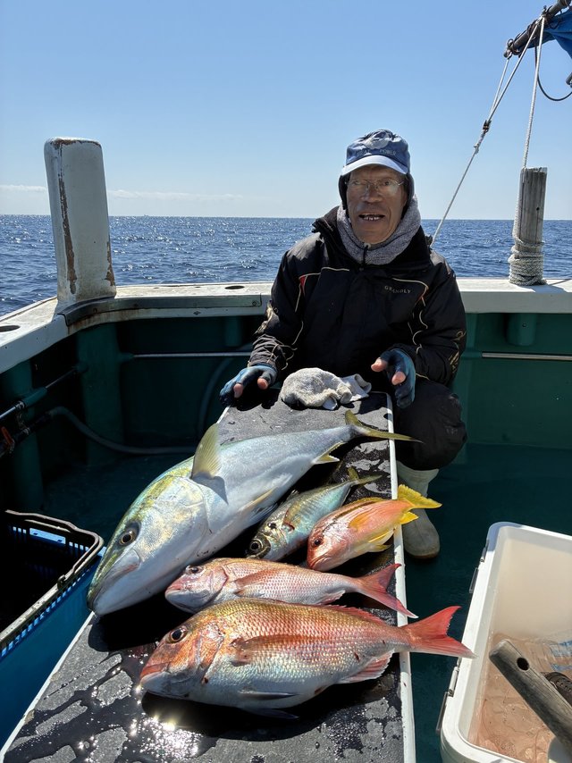 マダイ・マアジ・ブリ