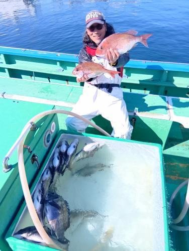 マダイ・クロダイ・イナダ(ブリ)