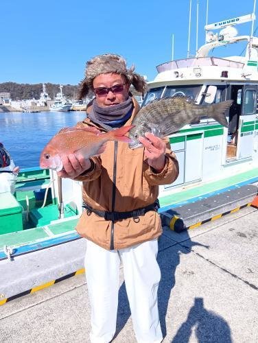 マダイ・クロダイ