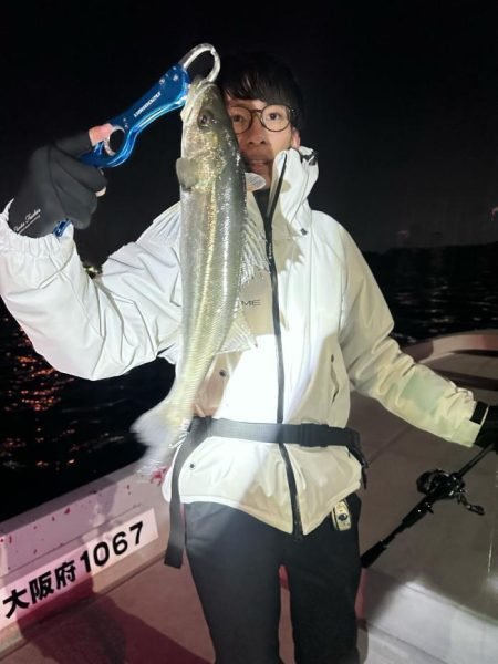 シーバス(スズキ)