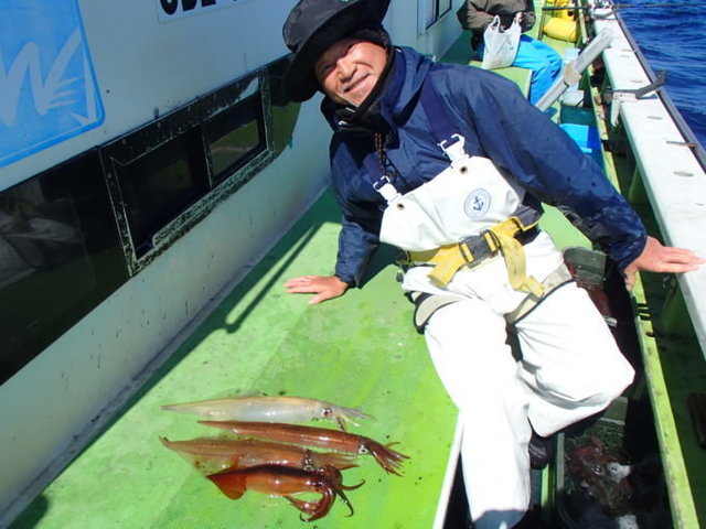 ヤリイカ・スルメ(スルメイカ)