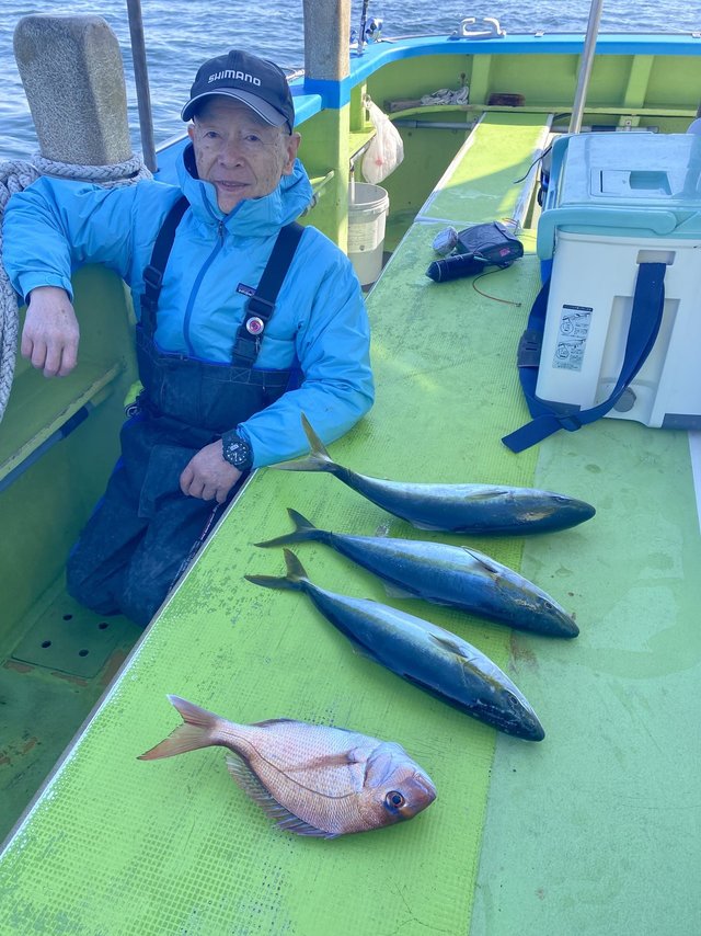 マダイ・イナダ(ブリ)