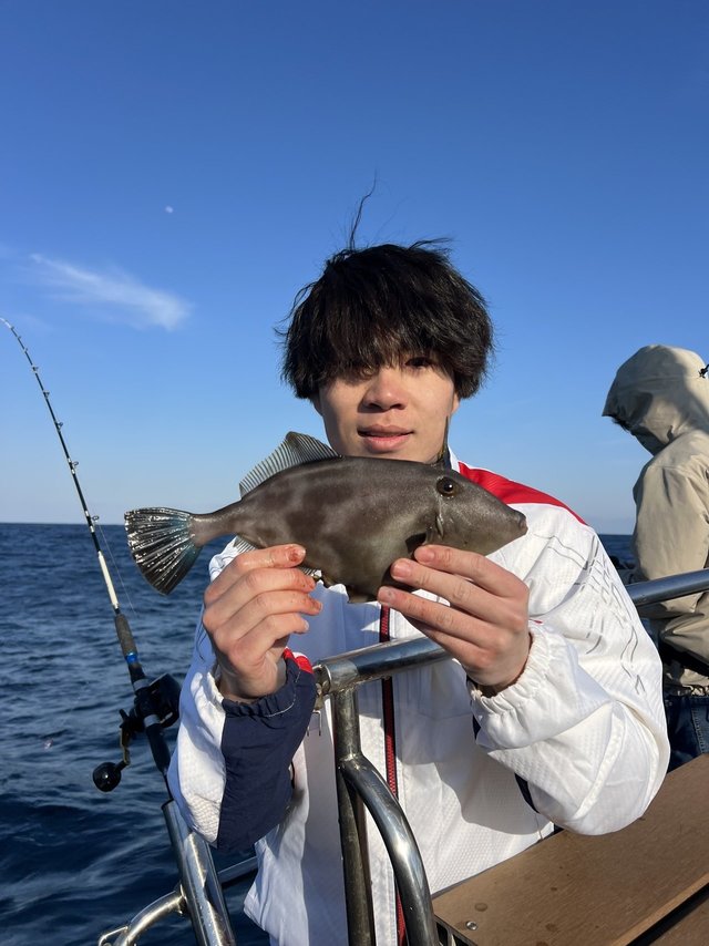 ウマズラハギ(ウマヅラハギ)