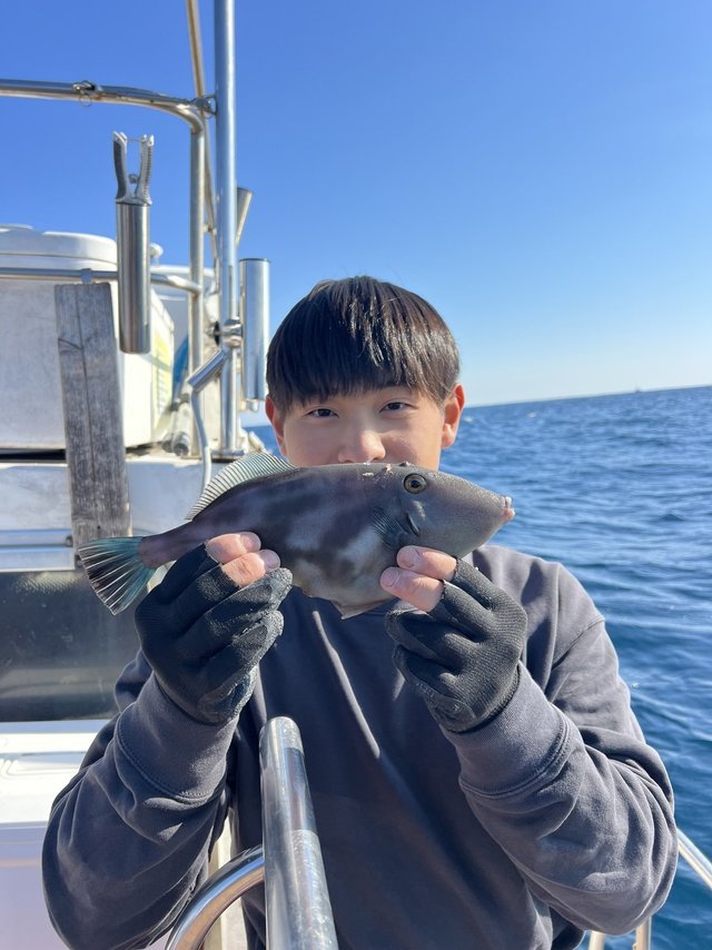 ウマズラハギ(ウマヅラハギ)