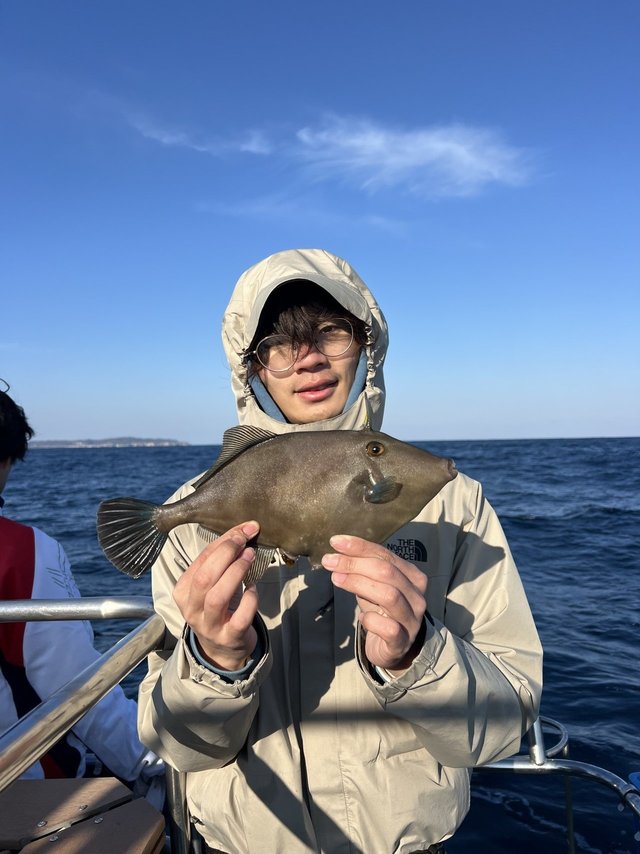 ウマズラハギ(ウマヅラハギ)