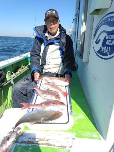 マダイ・イナダ(ブリ)