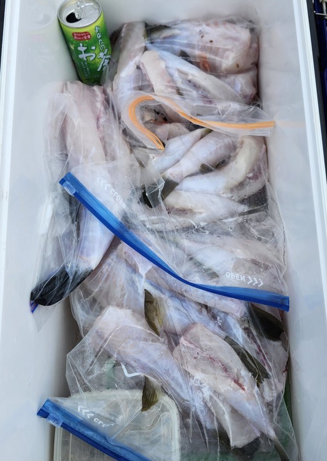 ショウサイフグ