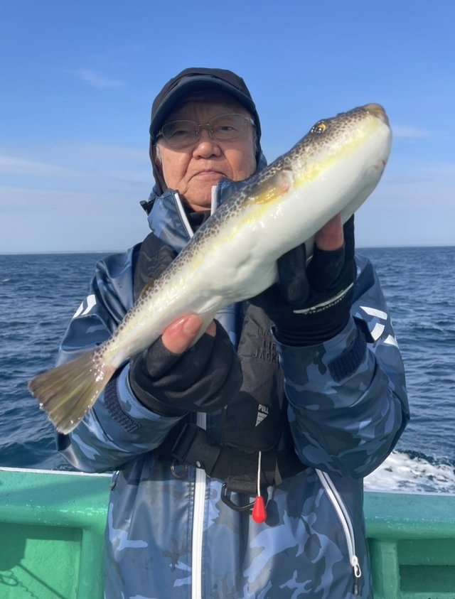 ショウサイフグ