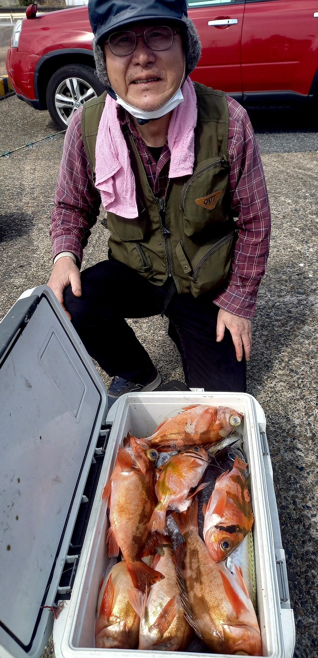 オキメバル(ウスメバル)