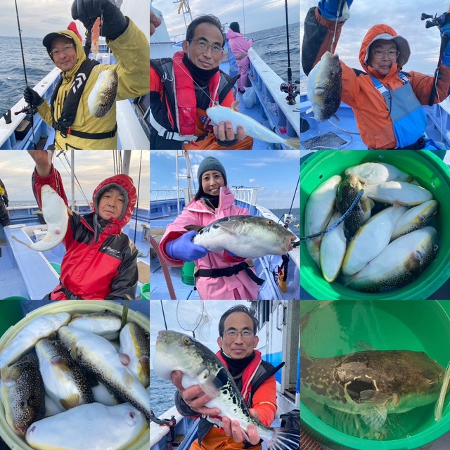 ショウサイフグ