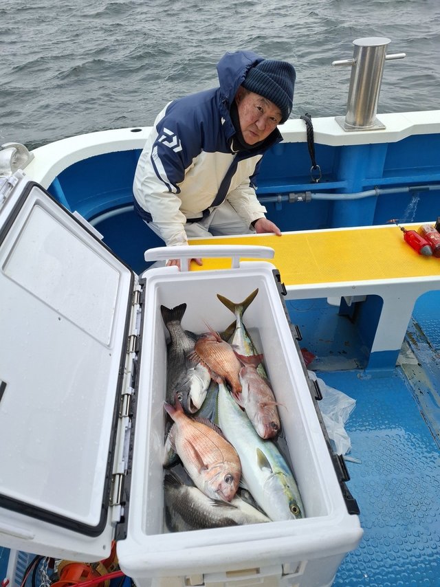 マダイ・クロダイ・イナダ(ブリ)