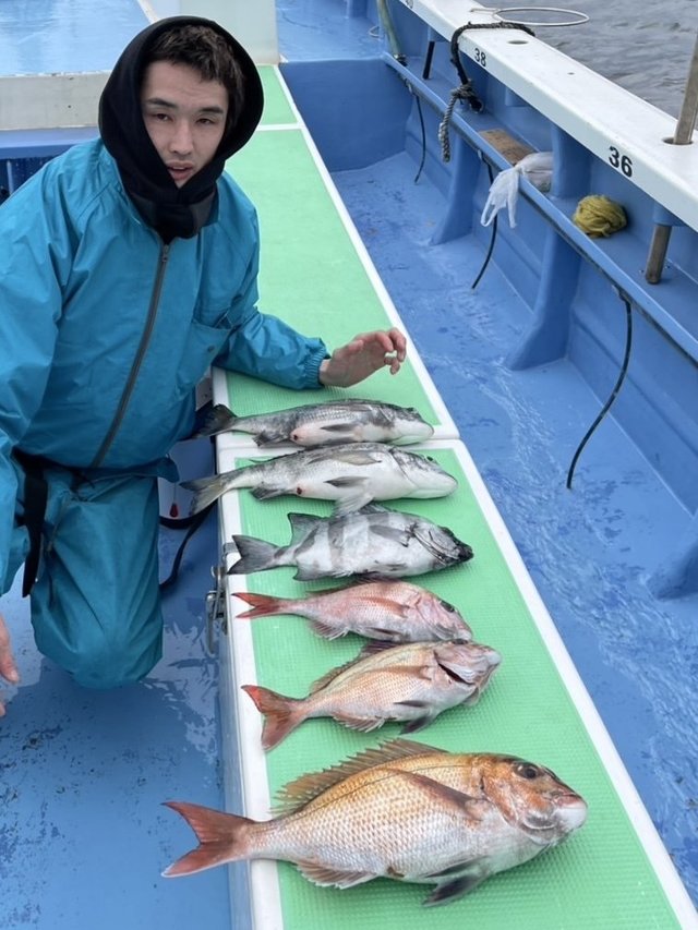 マダイ・クロダイ・イシダイ