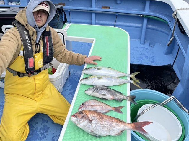 マダイ・クロダイ・イナダ(ブリ)