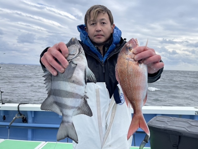 マダイ・イシダイ