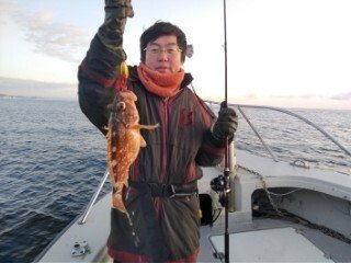 ヤナギ(ウスメバル)