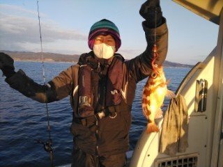 ヤナギ(ウスメバル)