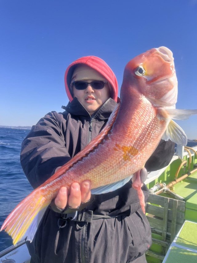 アマダイ(アカアマダイ)