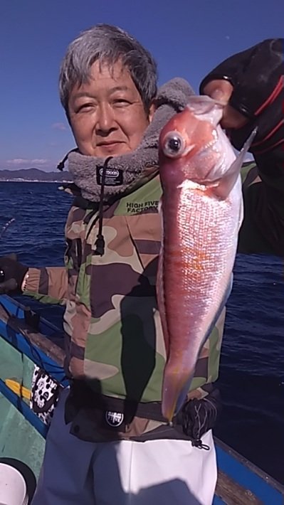 アマダイ(アカアマダイ)