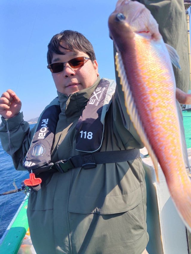 アマダイ(アカアマダイ)