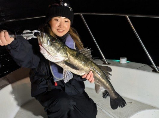 シーバス(スズキ)