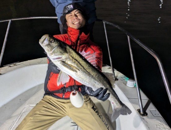 シーバス(スズキ)