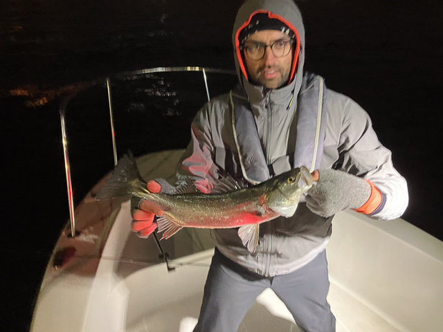 シーバス(スズキ)