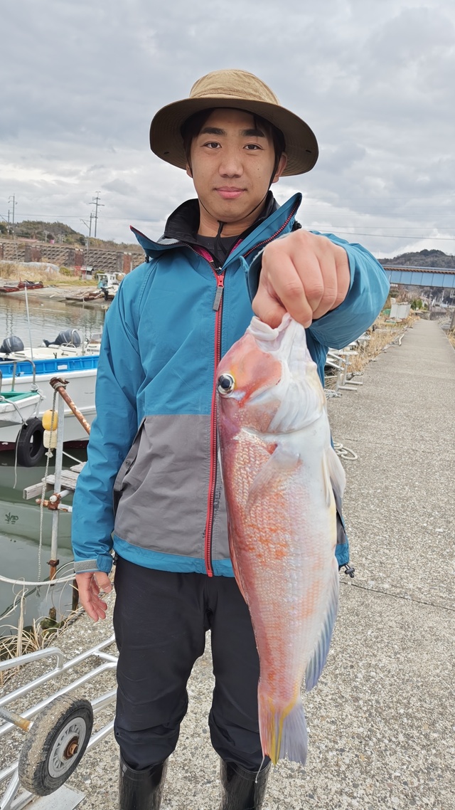 アマダイ(アカアマダイ)