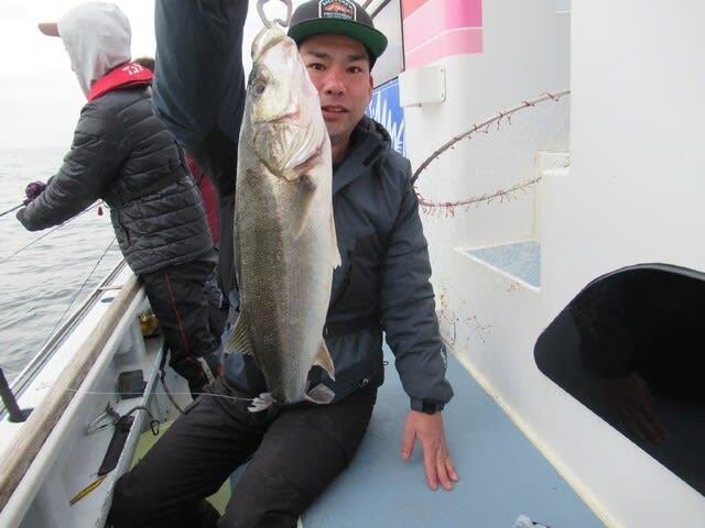 シーバス(スズキ)