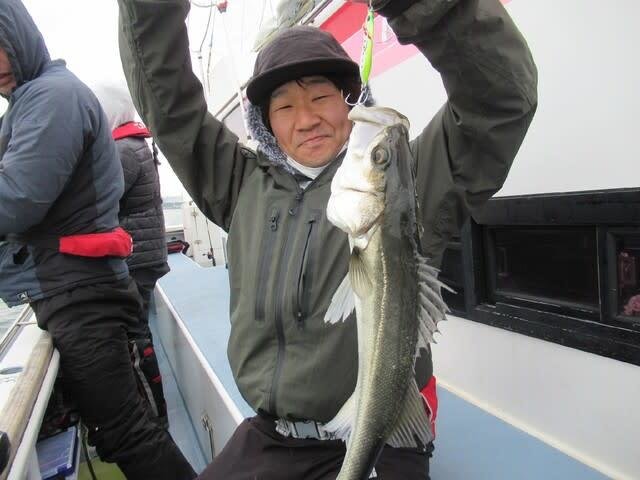 シーバス(スズキ)