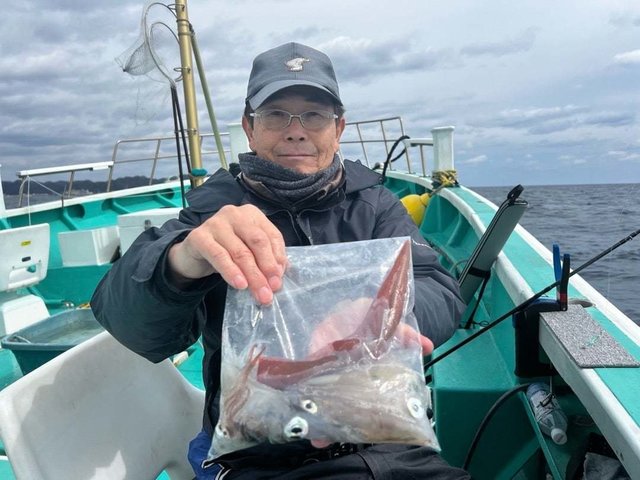 マルイカ(ケンサキイカ)