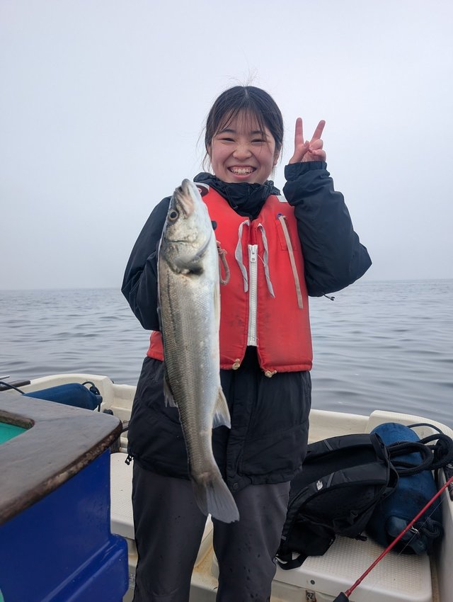 シーバス(スズキ)