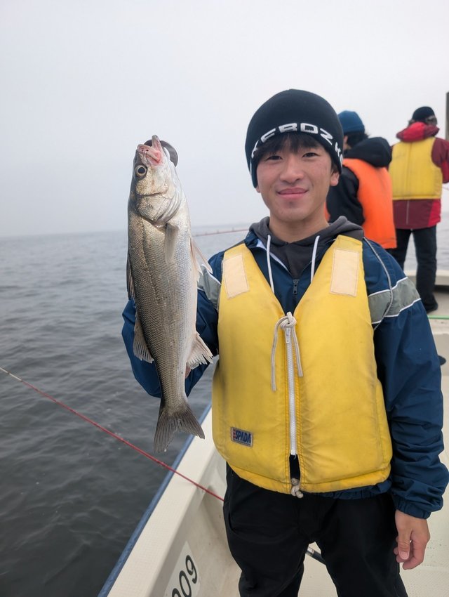 シーバス(スズキ)