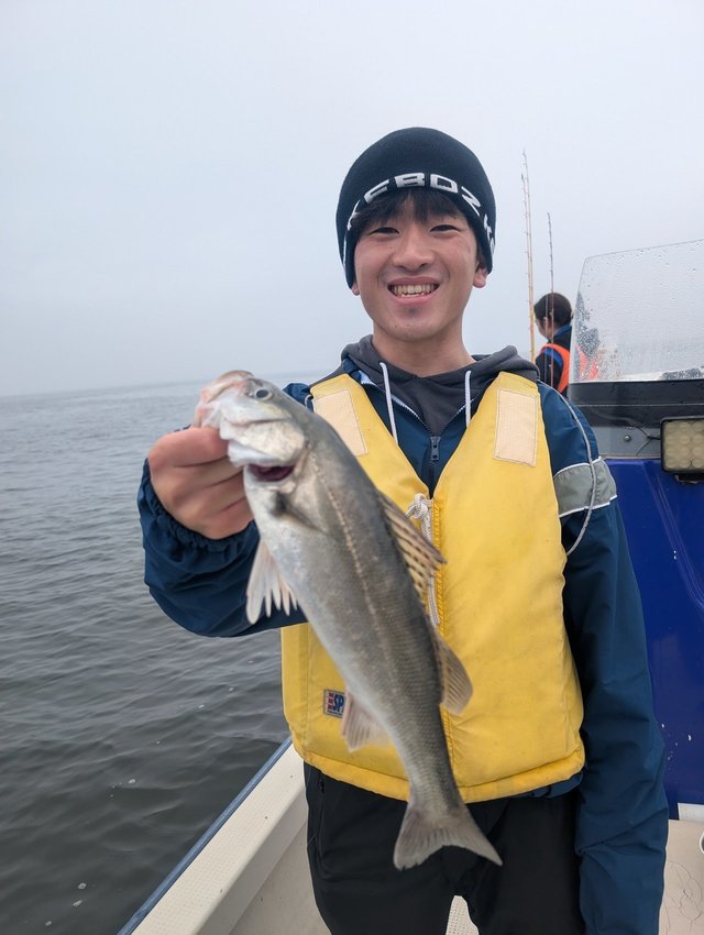 シーバス(スズキ)