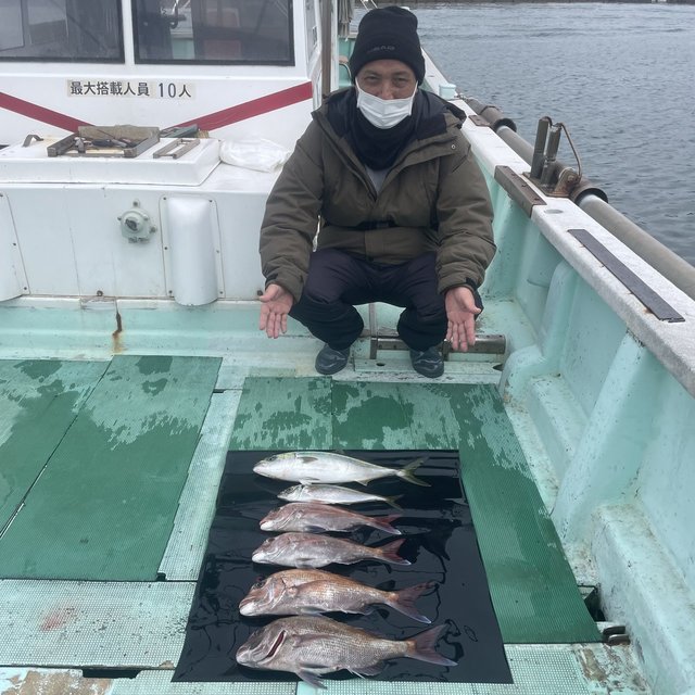 マダイ・マアジ・ハマチ(ブリ)