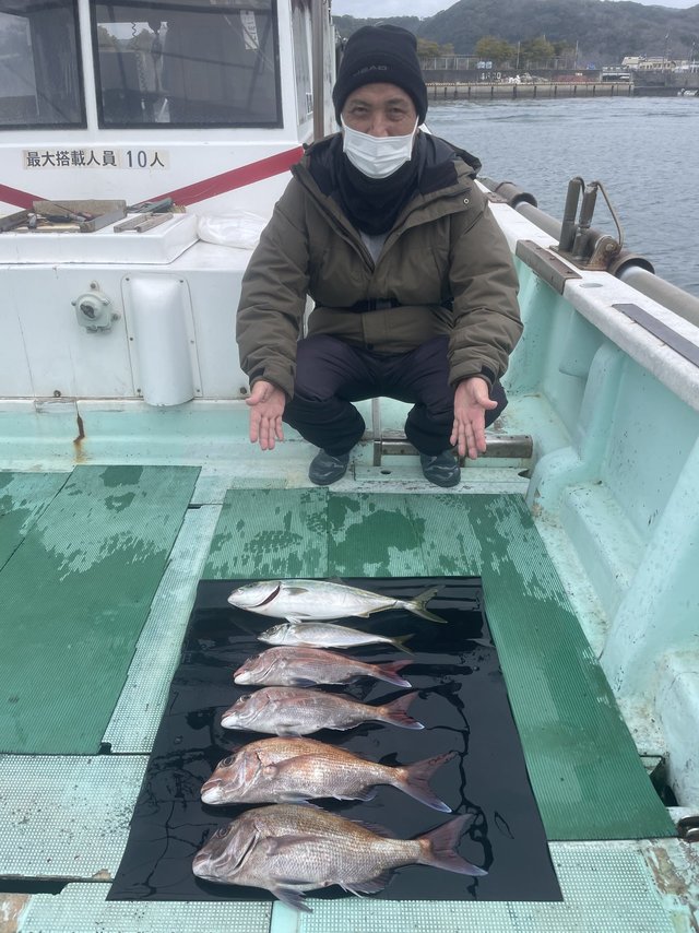 マダイ・マアジ・ハマチ(ブリ)