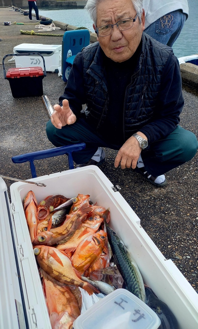 オキメバル(ウスメバル)