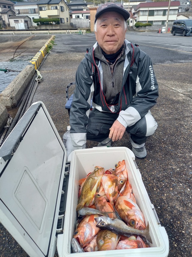 オキメバル(ウスメバル)