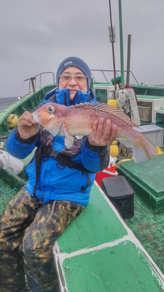 アマダイ(アカアマダイ)