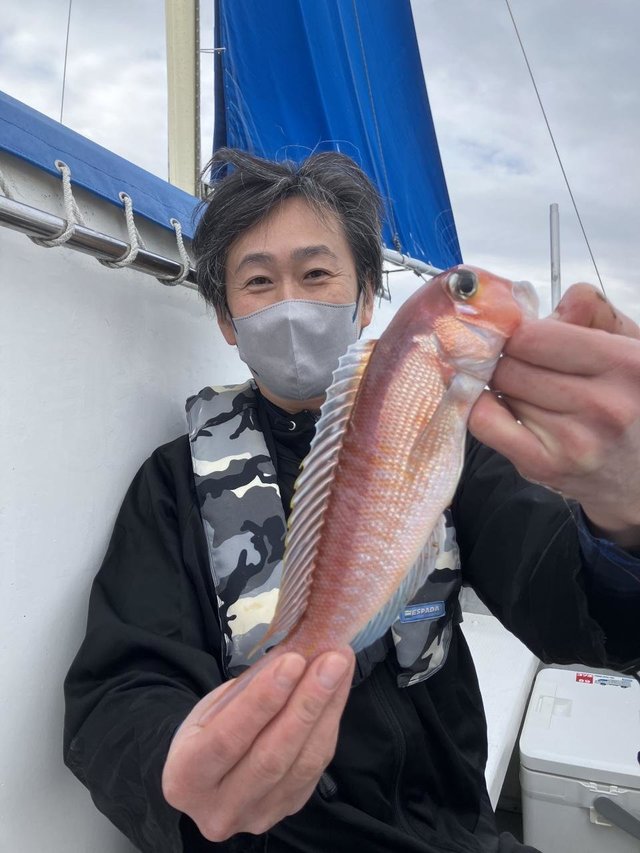 アマダイ(アカアマダイ)