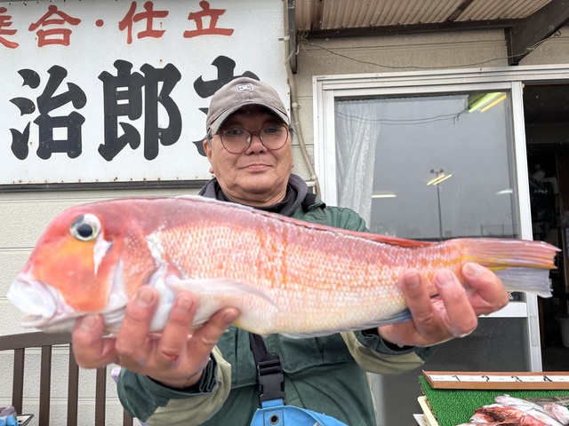 アマダイ(アカアマダイ)