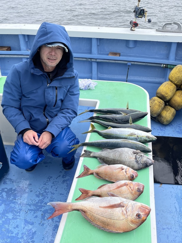 マダイ・クロダイ・イナダ(ブリ)