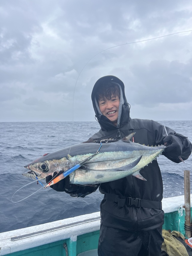 ビンチョウマグロ(ビンナガ)