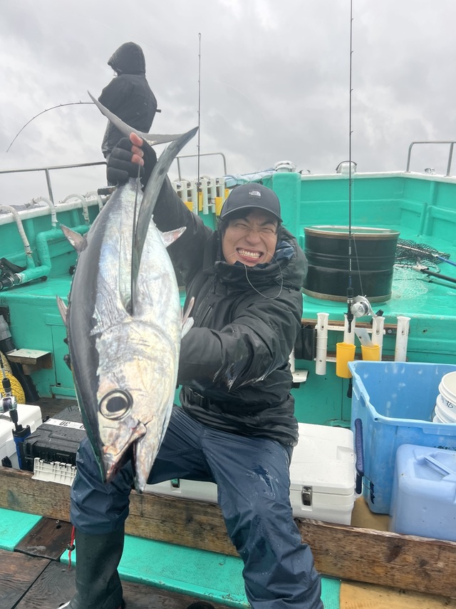 ビンチョウマグロ(ビンナガ)