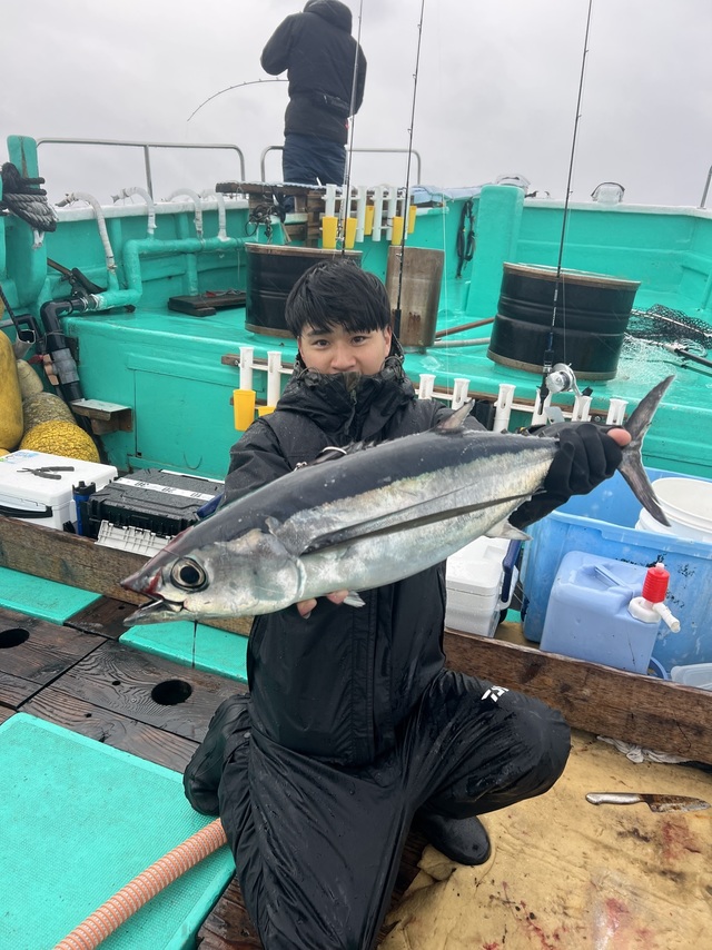 ビンチョウマグロ(ビンナガ)