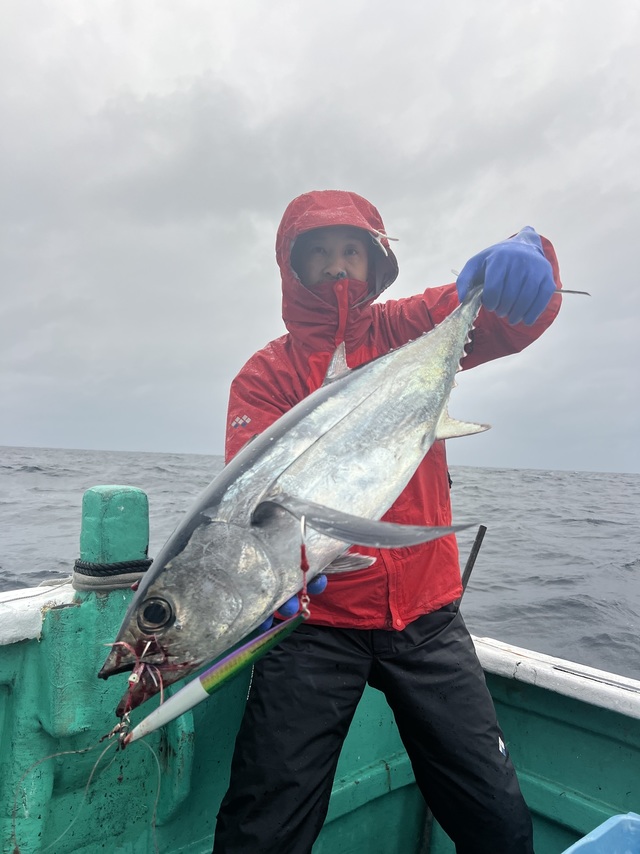 ビンチョウマグロ(ビンナガ)