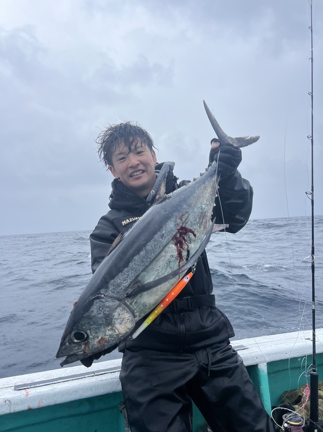 ビンチョウマグロ(ビンナガ)