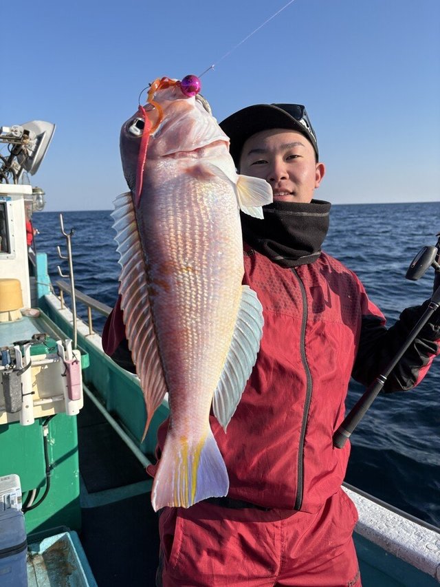 アマダイ(アカアマダイ)