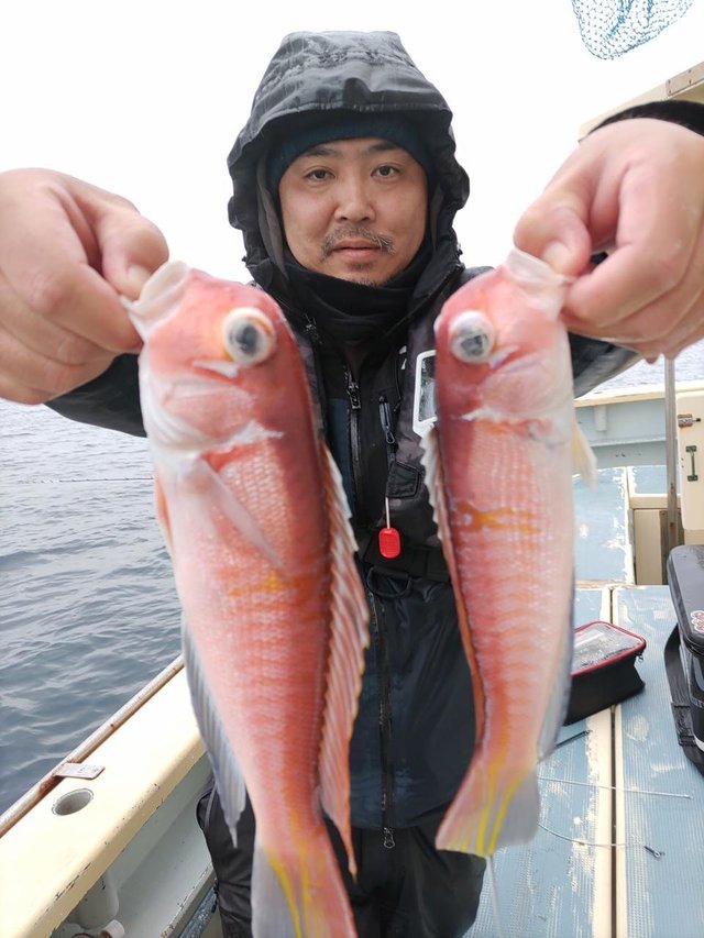 アマダイ(アカアマダイ)